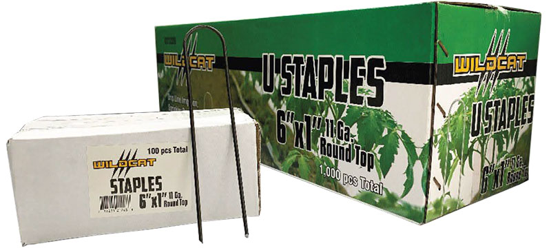 Green Box of Round top Galvanized Landscape Staples